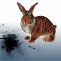 Avatar du membre