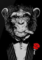 Avatar du membre
